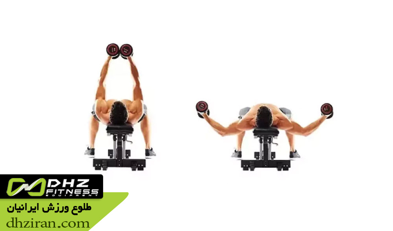 فلای دمبل روی نیمکت صاف 